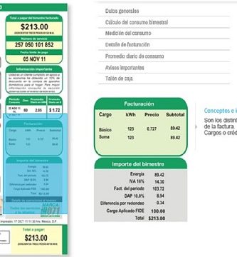 imprimir recibo de luz