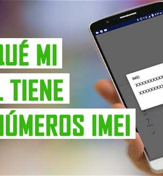 porque mi celular tiene 2 imei