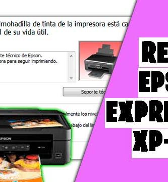 reset epson xp204