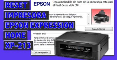 reset epson xp213