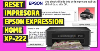 reset epson xp222
