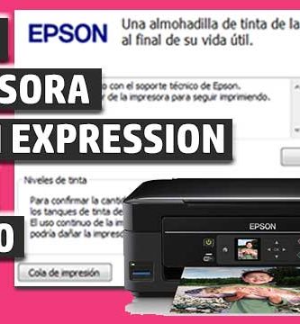 reset epson xp300