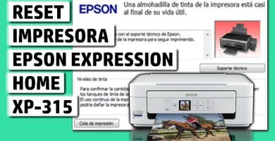 reset epson xp315