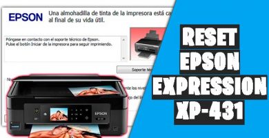 reset epson xp431