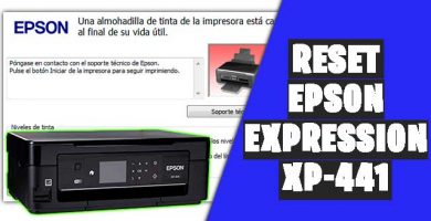 reset epson xp441